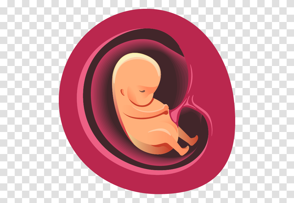 Two Months Illustration, Ear, Person, Human Transparent Png