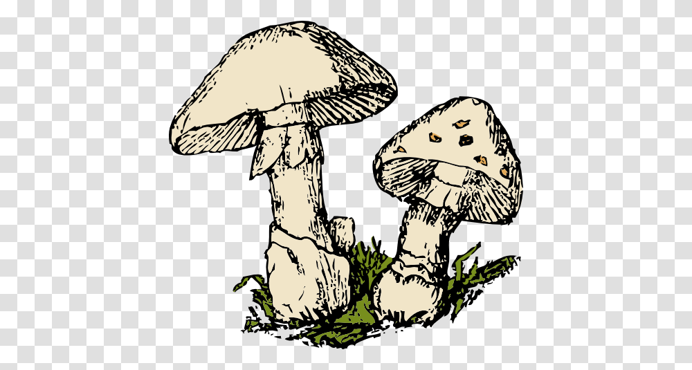 Two Mushrooms Clipart, Plant, Amanita, Agaric, Fungus Transparent Png