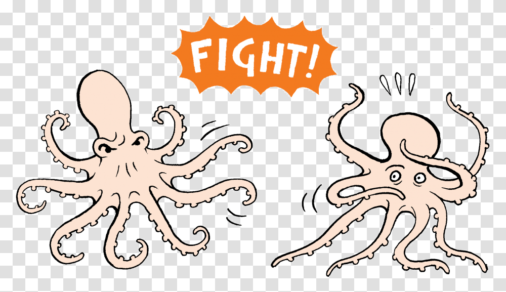 Two Octopus Fighting Over Food, Sea Life, Animal, Invertebrate, Poster Transparent Png