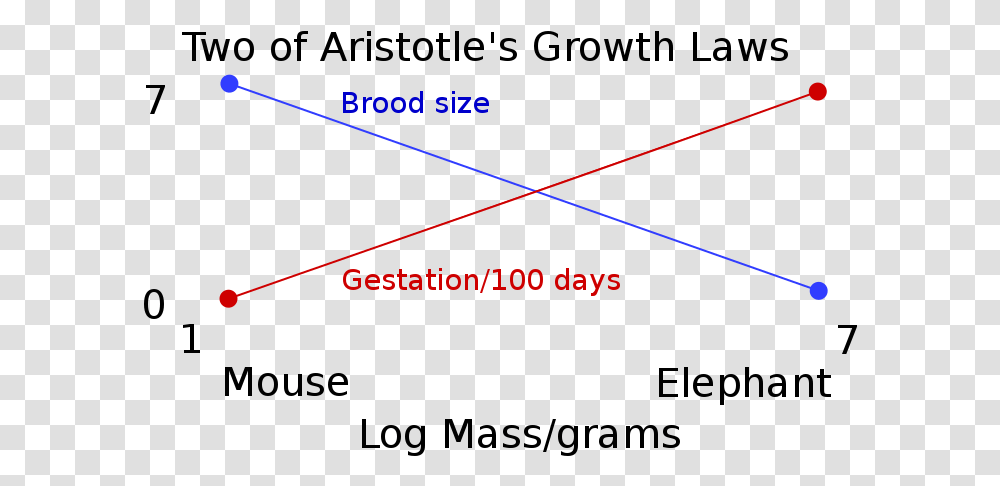 Two Of Aristotle S Growth Laws Aristotle Experiment, Outdoors, Triangle, Nature, Night Transparent Png