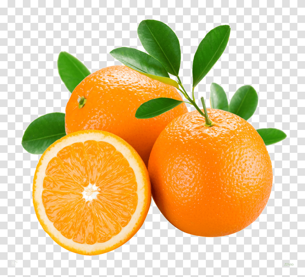 Two Oranges And Fruits Cut Surface Decorative Free, Citrus Fruit, Plant, Food, Grapefruit Transparent Png