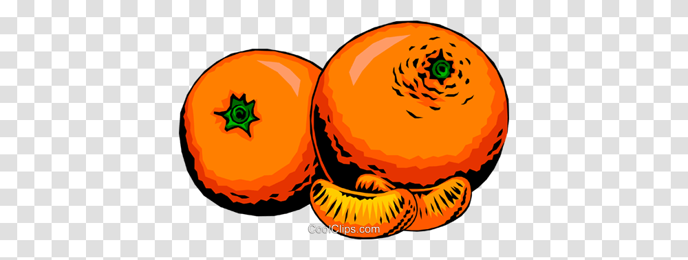 Two Oranges Royalty Free Vector Clip Art Illustration, Plant, Food, Pumpkin, Vegetable Transparent Png