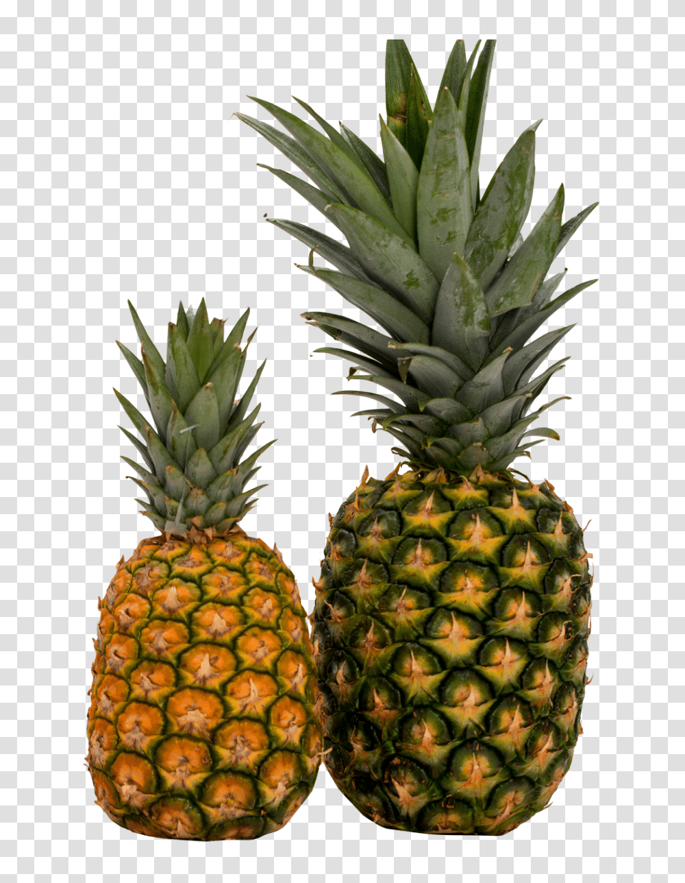 Two Pineapple Image, Fruit, Plant, Food Transparent Png