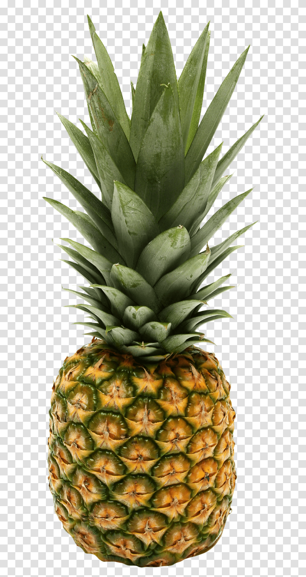 Two Pineapple Image Purepng Free Cc0 Rick And Morty Fruit, Plant, Food Transparent Png