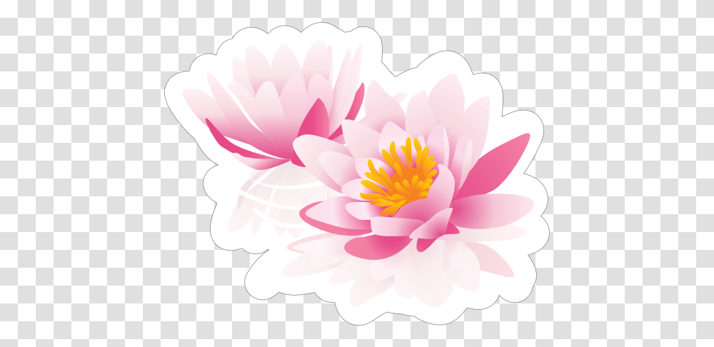 Two Pink Lotus Flower Sticker Language, Plant, Blossom, Dahlia, Petal Transparent Png