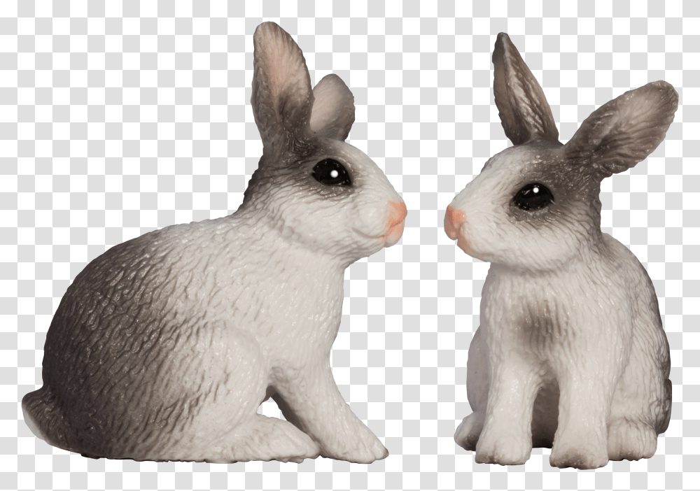 Two Rabbits Image Rabbit Transparent Png
