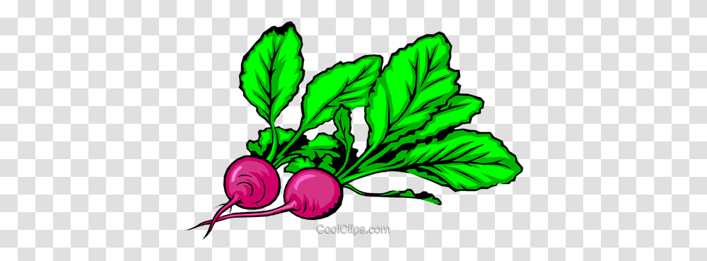 Two Radishes Royalty Free Vector Clip Art Illustration, Plant, Vegetable, Food, Produce Transparent Png