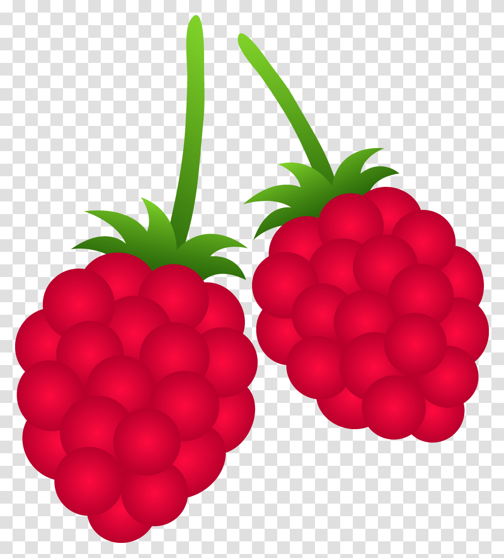 Two Raspberries, Raspberry, Fruit, Plant, Food Transparent Png