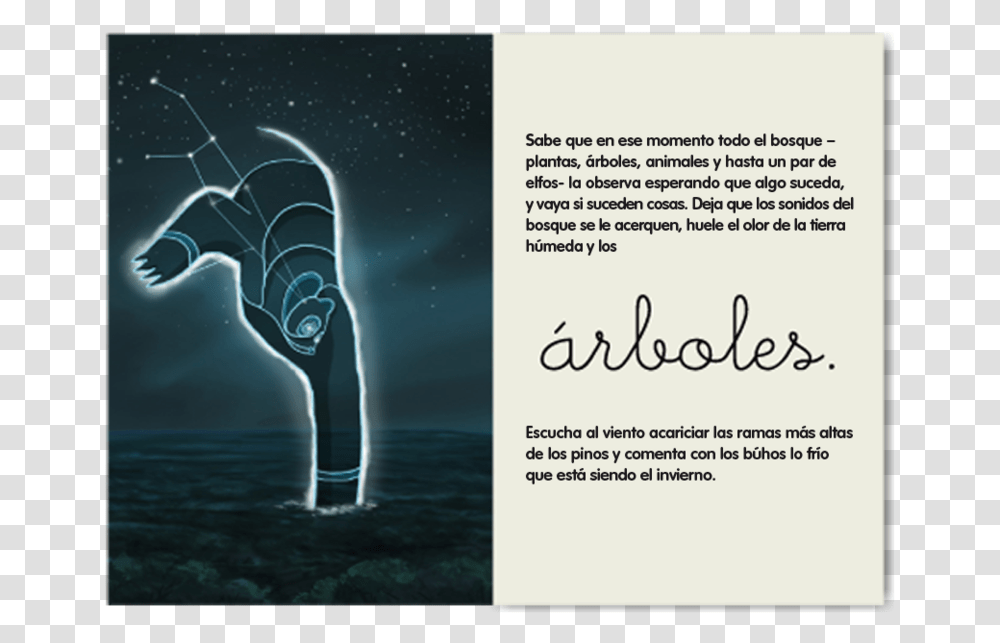 Twoelf Cuento Osa3 Flyer, Nature, Outdoors, Advertisement, Poster Transparent Png