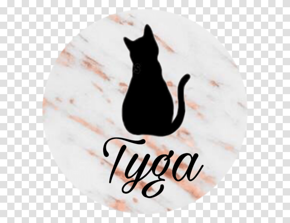 Tyga Black Cat, Pet, Mammal, Animal, Egyptian Cat Transparent Png