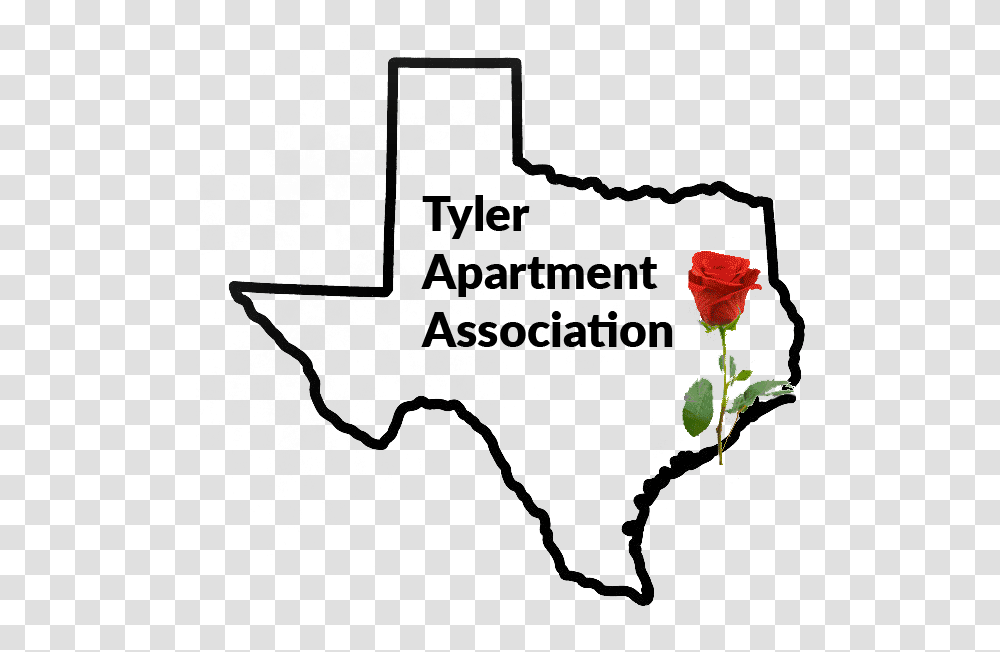 Tyler Apartment Association State Of Texas, Rose, Flower, Plant, Blossom Transparent Png