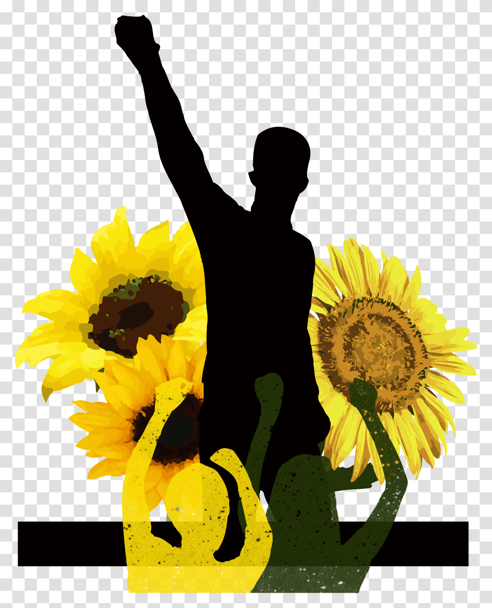 Tyler The Creator Sunflower, Plant, Blossom, Daisy, Daisies Transparent Png