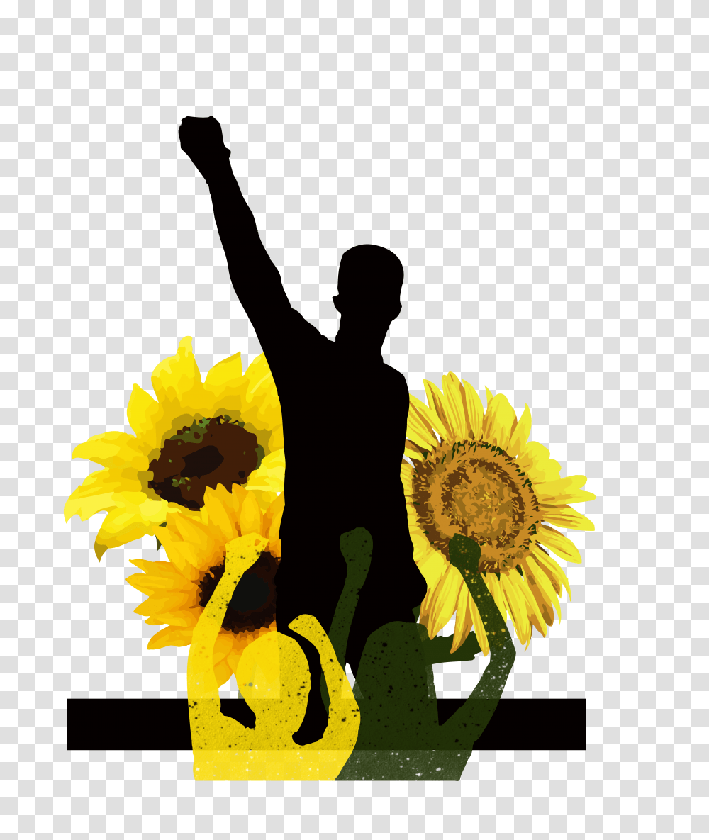Tyler The Creator The Temple News, Plant, Flower, Blossom, Sunflower Transparent Png