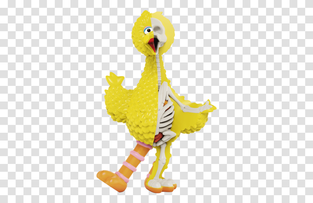 Type Of Bird Is Big Bird, Toy, Animal, Poultry, Fowl Transparent Png