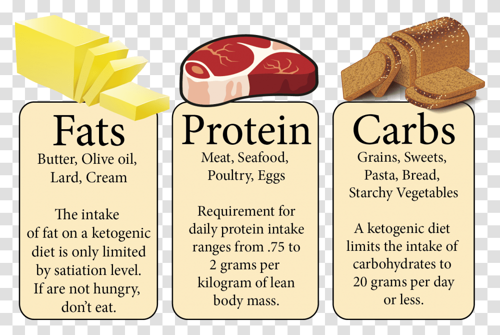 Types Of Food Fat Carbohydrates, Label, Poster, Advertisement Transparent Png