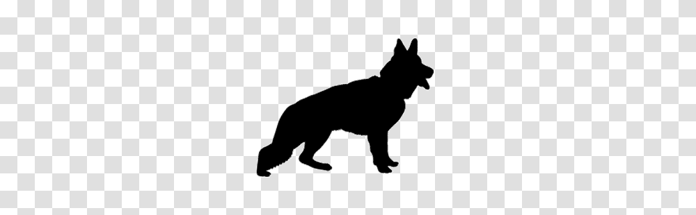 Types Of German Shepherds Show Lines Vs Working Lines Ultimate Gsd, Silhouette, Dog, Pet, Canine Transparent Png