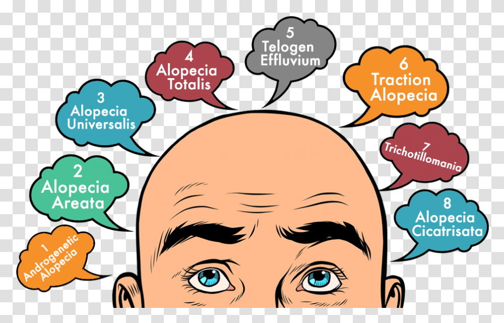 Types Of Hair Loss You Must Learn About Man With Bald Hair Cartoon, Face, Poster, Advertisement Transparent Png