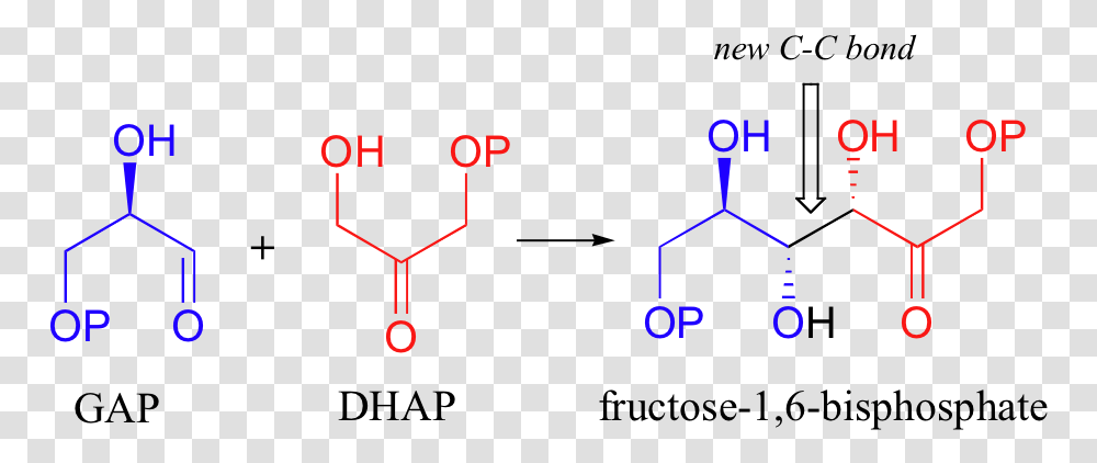 Types Of Isomers, Number, Analog Clock Transparent Png