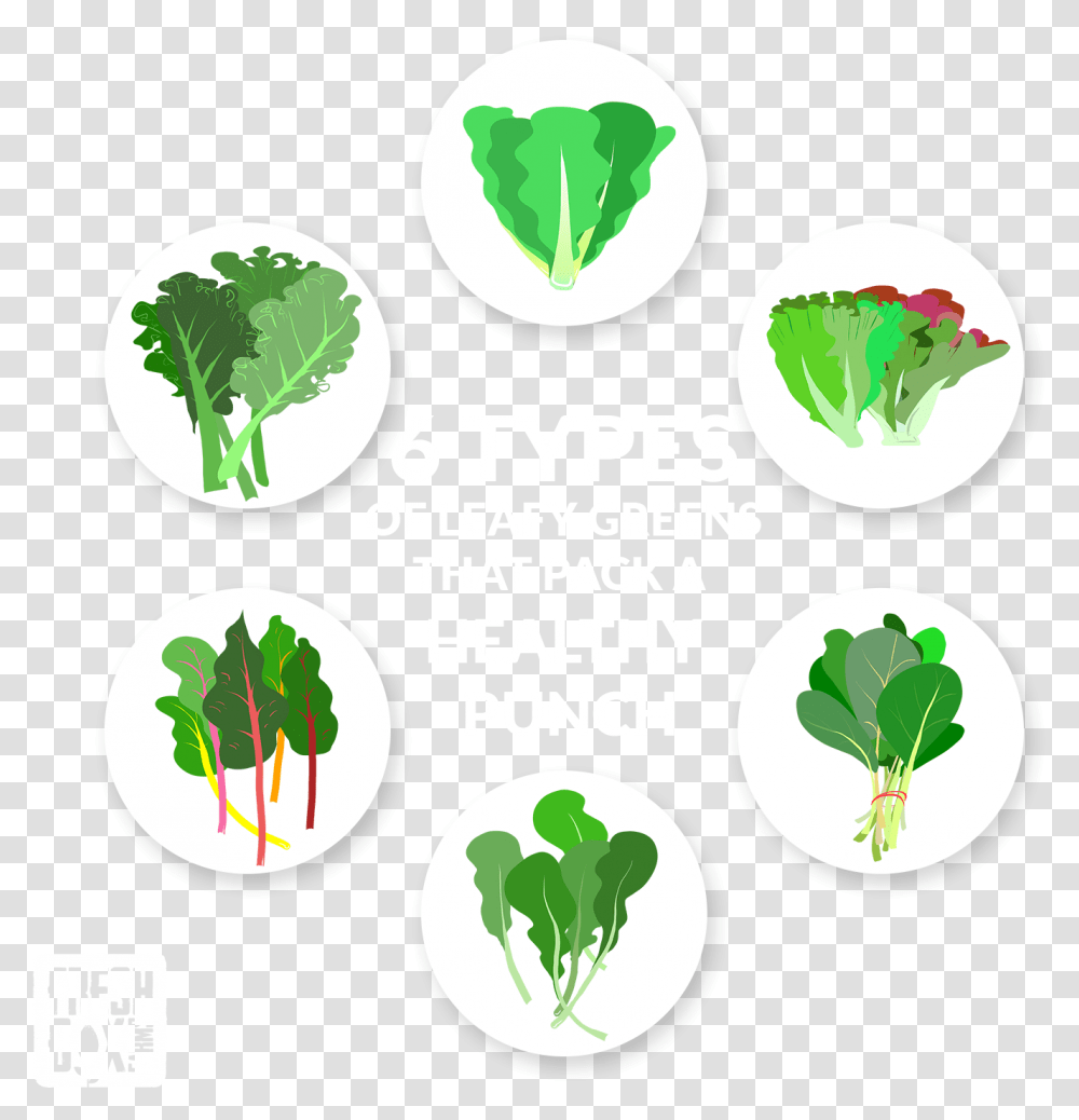 Types Of Leafy Greens That Pack A Types Of Leafy Greens, Plant, Vegetable, Food, Vegetation Transparent Png