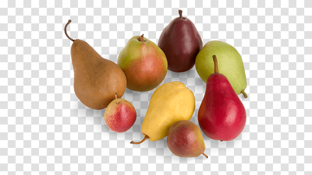 Types Of Pears Multiple Colors Pear Varieties, Plant, Apple, Fruit, Food Transparent Png