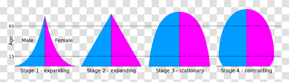 Types Of Population Pyramids Pdf, Triangle, Logo, Trademark Transparent Png