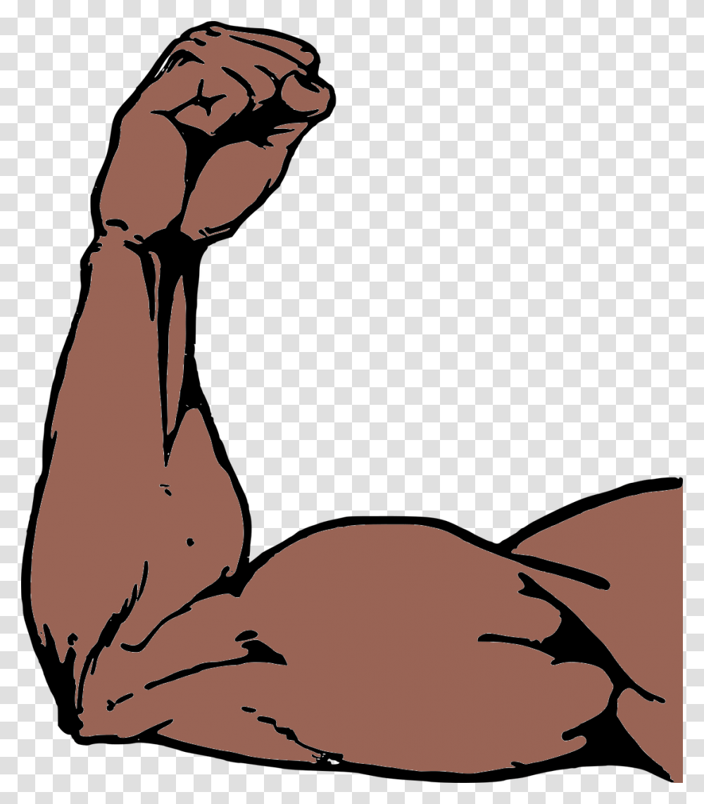 Types Of Sessions Immortal Arm Muscle, Hand, Painting, Bird Transparent Png