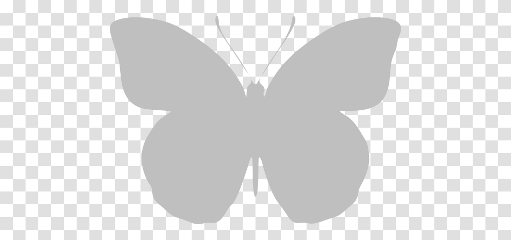 Typical Recto Orange Tip White Butterfly, Stencil, Heart Transparent Png