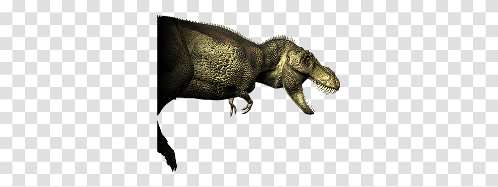 Tyrannosaur Height, Fantasy, Dinosaur, Reptile, Animal Transparent Png