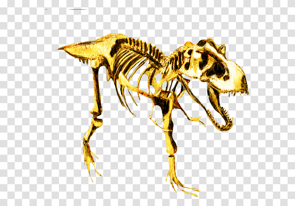 Tyrannosaurus, Dinosaur, Reptile, Animal, Skeleton Transparent Png
