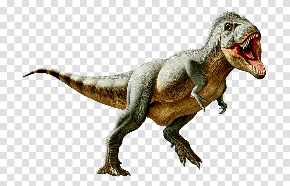 Tyrannosaurus, Dinosaur, Reptile, Animal, T-Rex Transparent Png