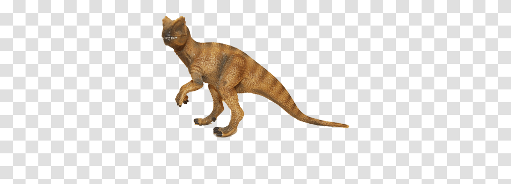 Tyrannosaurus, Dinosaur, Reptile, Animal, T-Rex Transparent Png