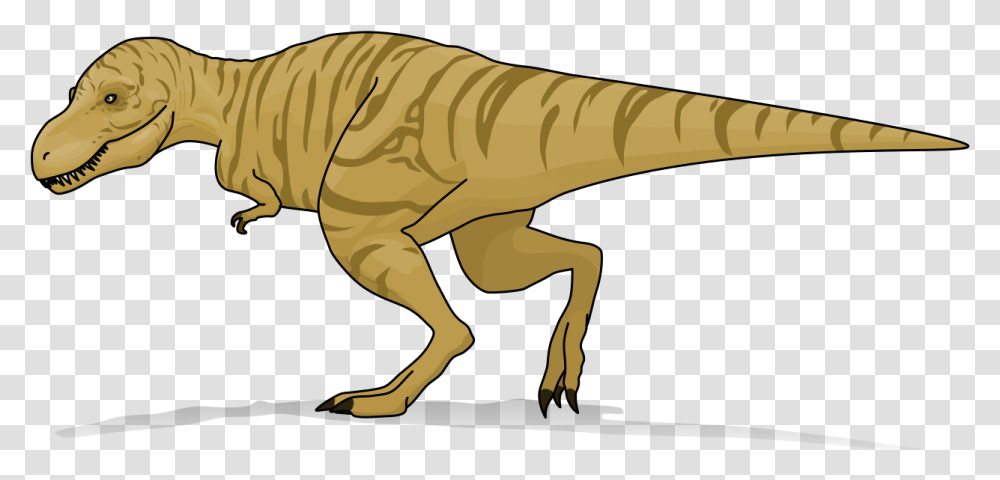 Tyrannosaurus Rex 1 Heavyline Truth About Killer Dinosaurs T Rex Size, Reptile, Animal, T-Rex Transparent Png