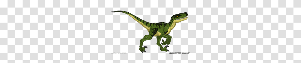 Tyrannosaurus Rex Camo Clipart, Dinosaur, Reptile, Animal, T-Rex Transparent Png