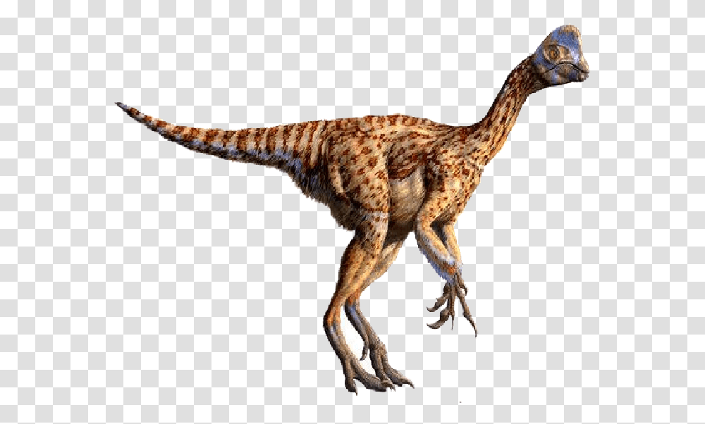 Tyrannosaurus Rex Clipart Raul Martin Small Dinosaur With Crest On Head, Reptile, Animal, T-Rex, Antelope Transparent Png