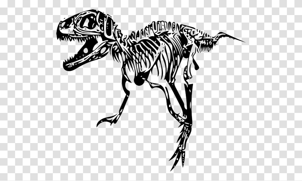 Tyrannosaurus Rex Clipart T Rex Skeleton, Dinosaur, Reptile, Animal Transparent Png