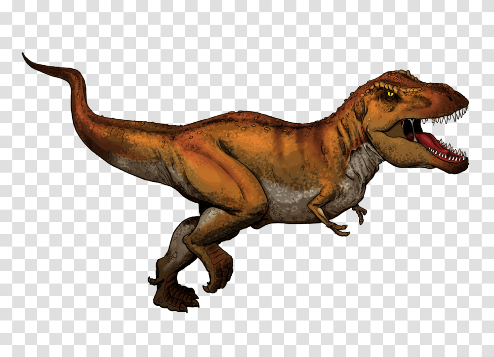 Tyrannosaurus Rex Colored, Dinosaur, Reptile, Animal, T-Rex Transparent Png