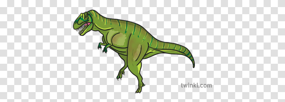 Tyrannosaurus Rex Dinosaur Illustration Twinkl Animal Figure, T-Rex, Reptile, Horse, Mammal Transparent Png