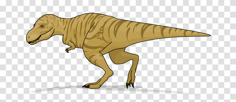 Tyrannosaurus Rex Heavyline, Dinosaur, Reptile, Animal, T-Rex Transparent Png
