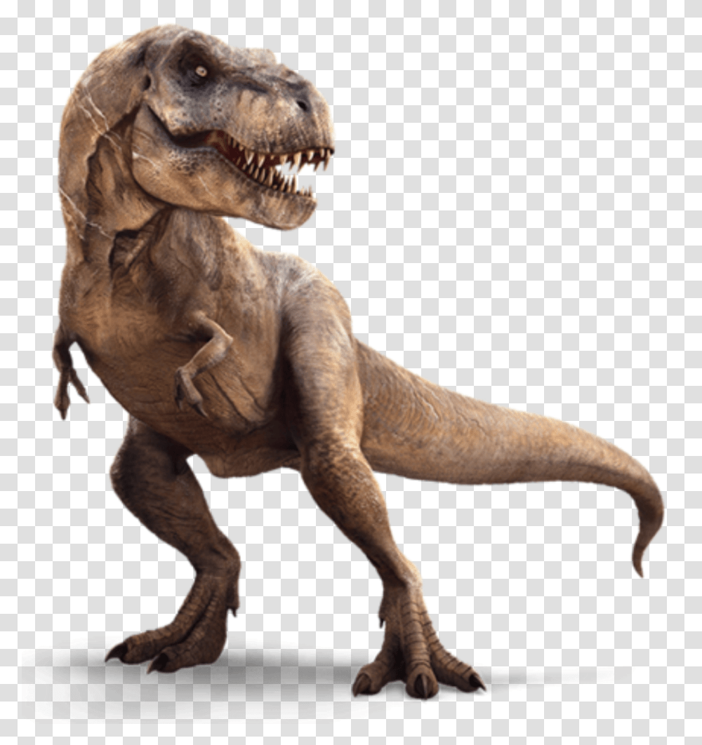 Tyrannosaurus Rex Mmartyniuk T Rex, T-Rex, Dinosaur, Reptile, Animal Transparent Png