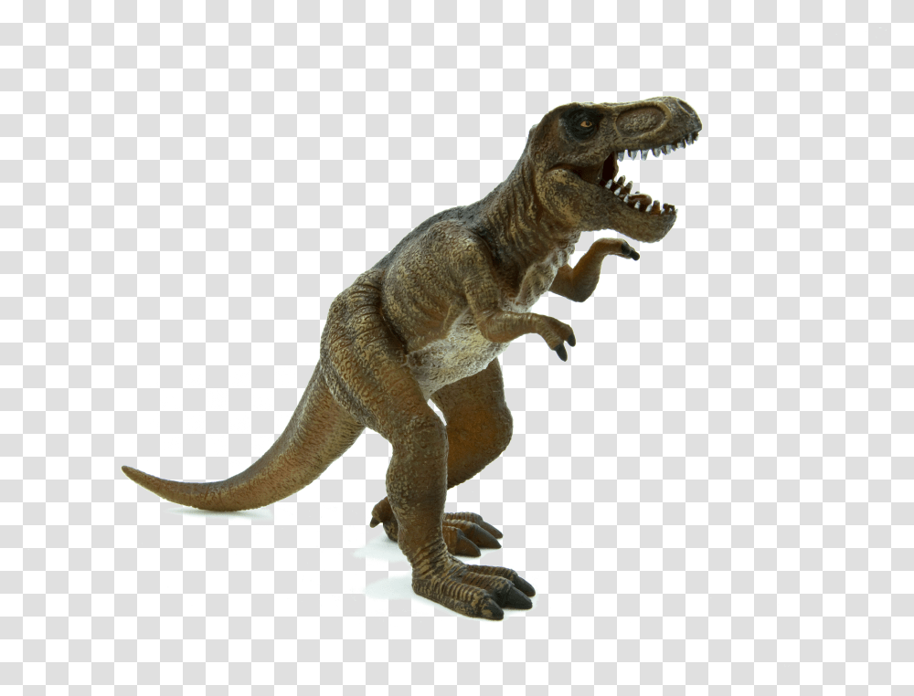 Tyrannosaurus Rex T Rex Stegosaurus Dinosaur Transparent Png