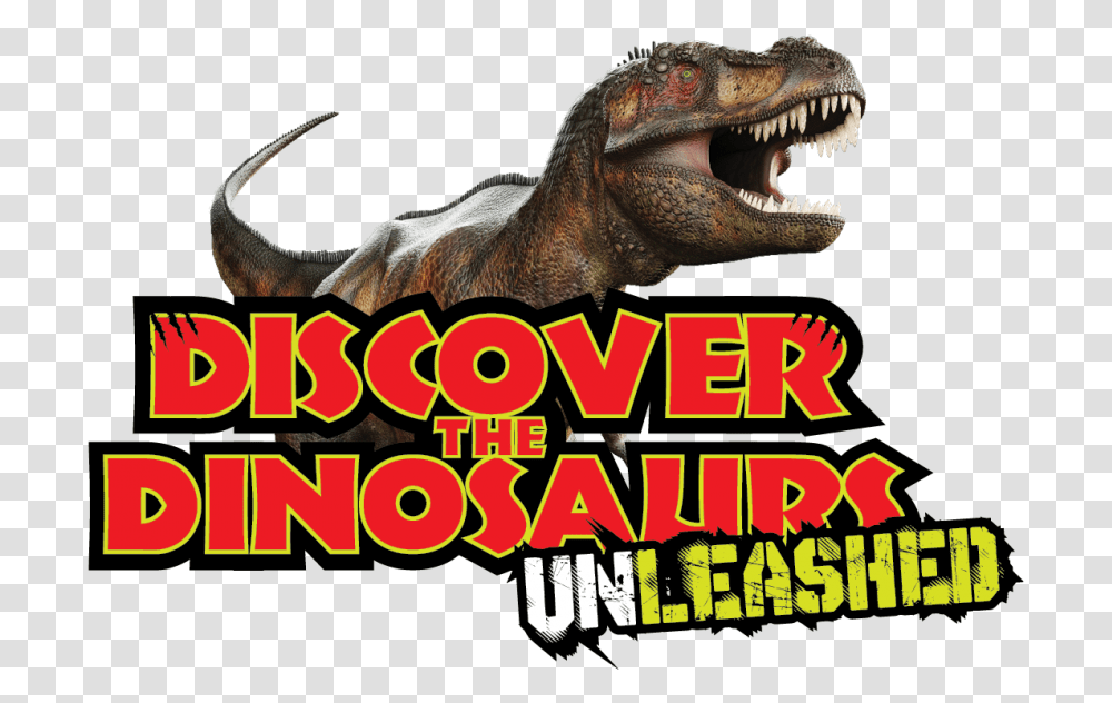 Tyrannosaurus, T-Rex, Dinosaur, Reptile, Animal Transparent Png