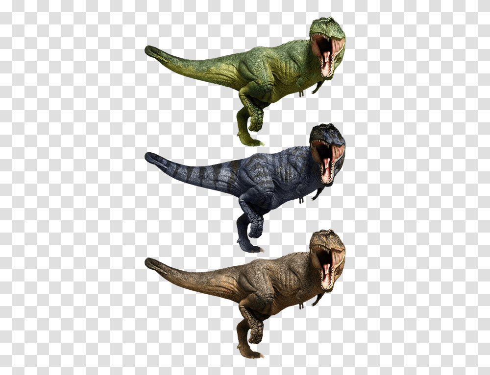 Tyrannosaurus T Rex T Rex Tyrannosaur Dinosaur Tyrannosaurus, T-Rex, Reptile, Animal Transparent Png