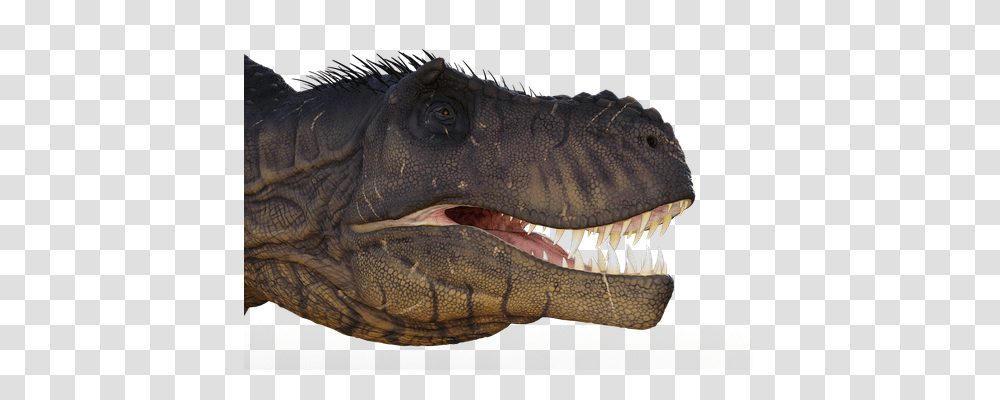 Tyrant Saurian Reptile, Animal, Dinosaur, T-Rex Transparent Png