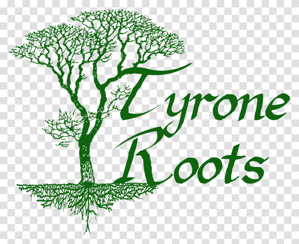 Tyrone Roots Illustration, Plant, Tree Transparent Png
