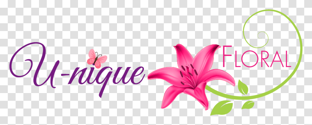 U Nique Floral Llc, Plant, Flower, Blossom, Lily Transparent Png