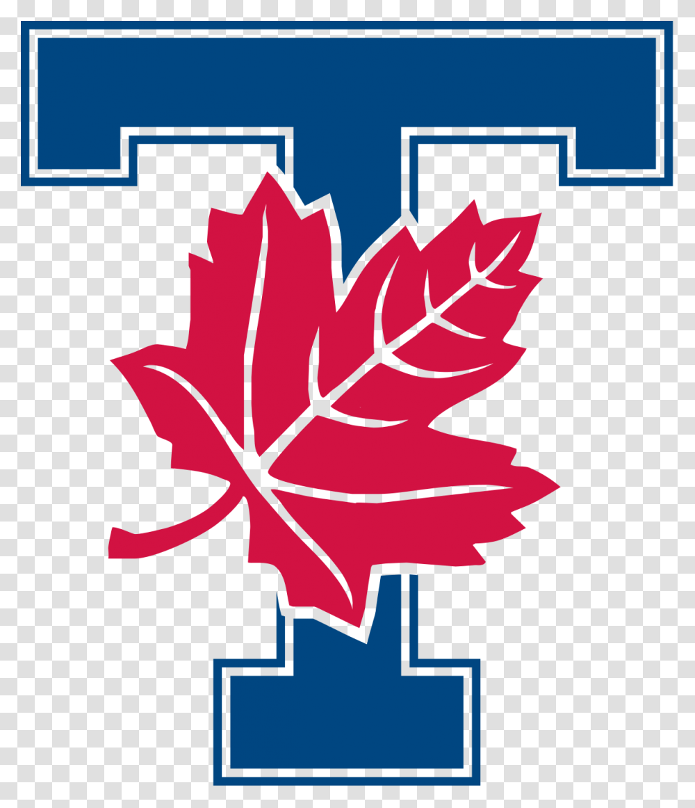 U Of T Varsity Blues Logo, Leaf, Plant, Tree, Maple Leaf Transparent Png