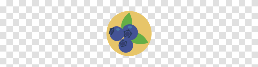 U Pick Blueberry Farms In Lakeland Polk County, Plant, Fruit, Food, Tennis Ball Transparent Png