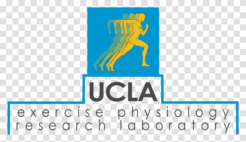 Ucla Logo Download, Poster, Advertisement, Person Transparent Png