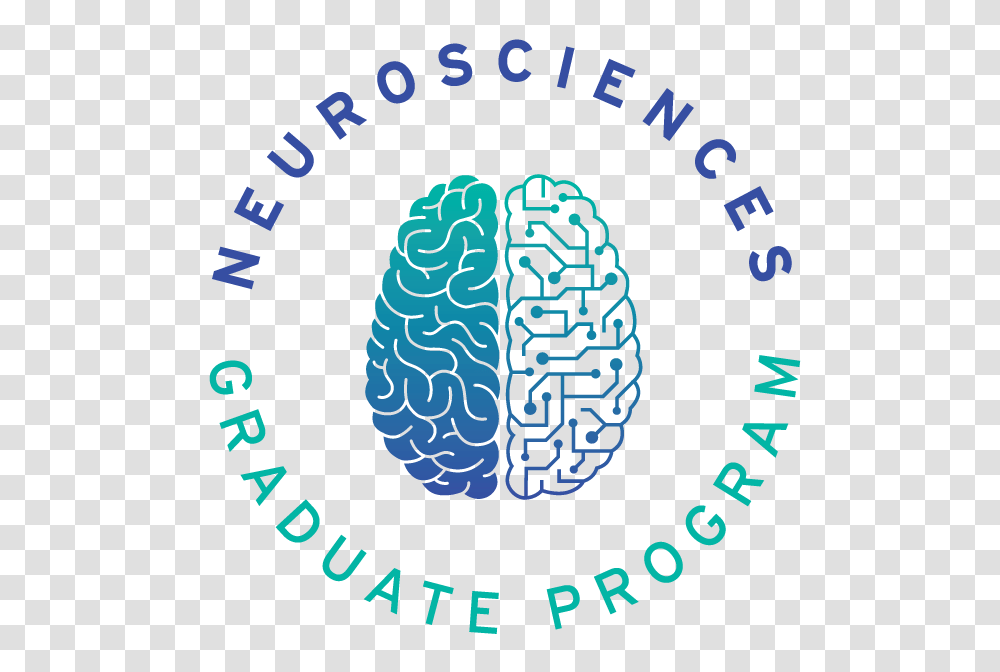 Ucsd Neurosciences Outreach, Number, Compass Transparent Png