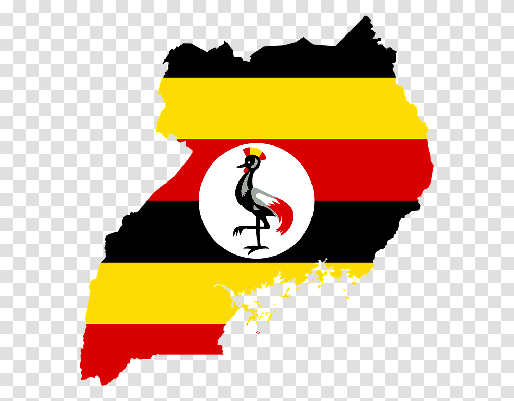 Uganda Could Be The First African Country Opting For Bitcoin, Penguin, Bird, Silhouette, Sport Transparent Png
